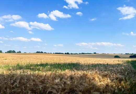 24-06-26 16-35-38 9941